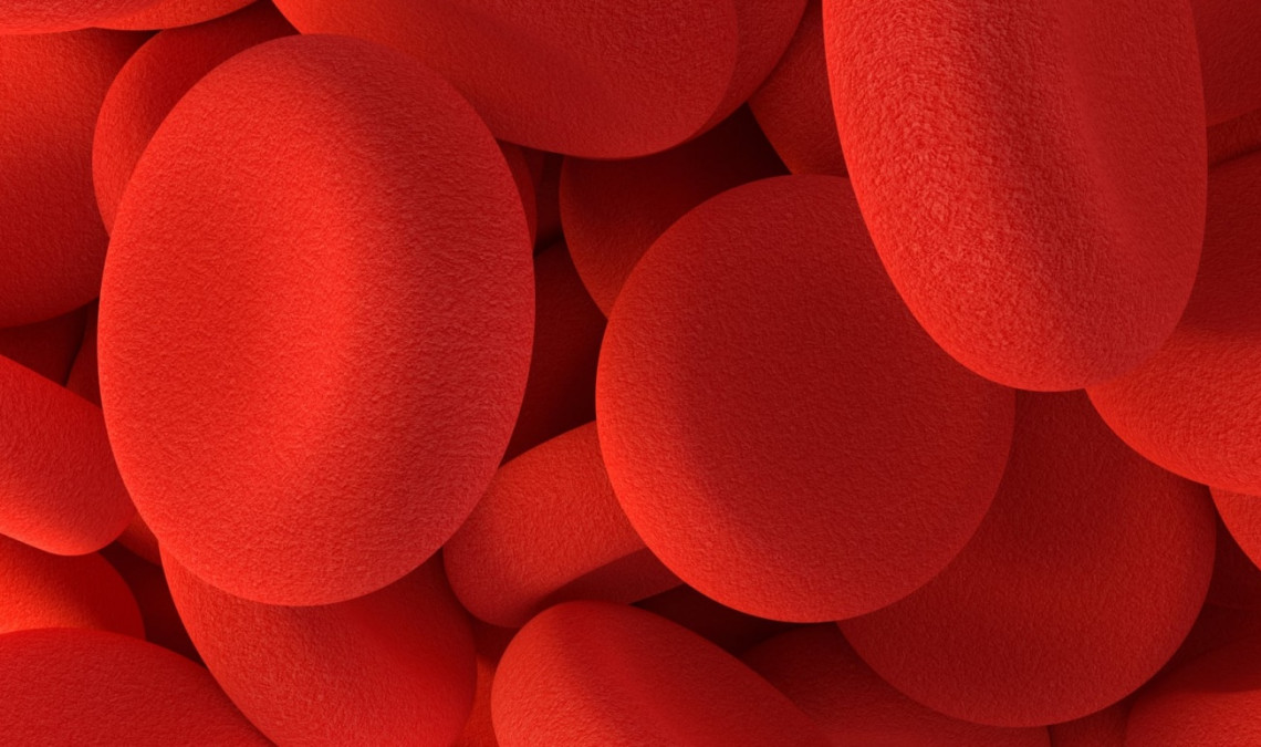 Clot Or Bleed Pdf